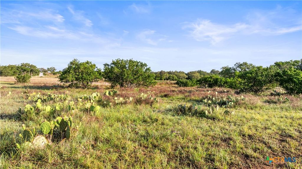 Lot 3 Vista Ridge Dr, Round Mountain, TX 78663