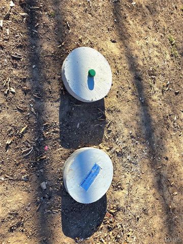 481 Family Road, St Clair, MO 63077