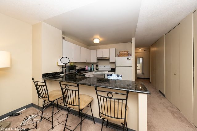 474 N Lake Shore Drive 2407, Chicago, IL 60611