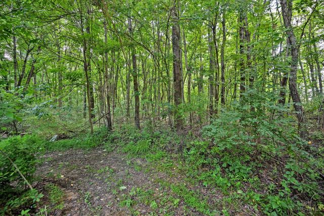 3617 St Rt 222, Batavia Twp, OH 45103