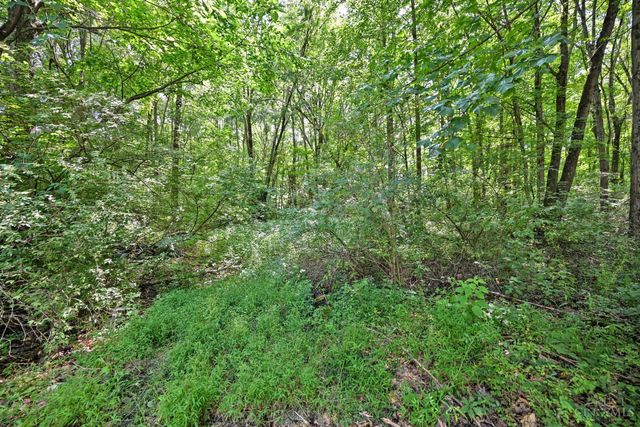 3617 St Rt 222, Batavia Twp, OH 45103