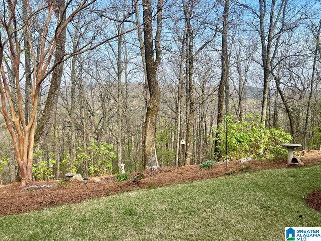 5619 SUMMIT POINTE, Pinson, AL 35126