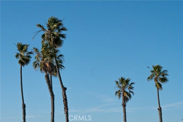 17202 Corbina Lane 205, Huntington Beach, CA 92649