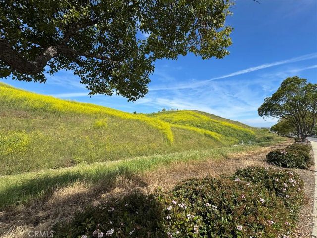 4406 Mission Hills Drive, Chino Hills, CA 91709