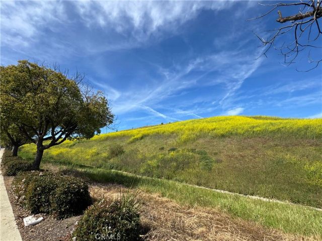 4406 Mission Hills Drive, Chino Hills, CA 91709