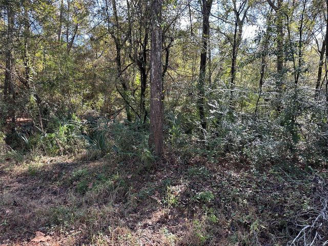 0 County Road 3612, Cleveland, TX 77372