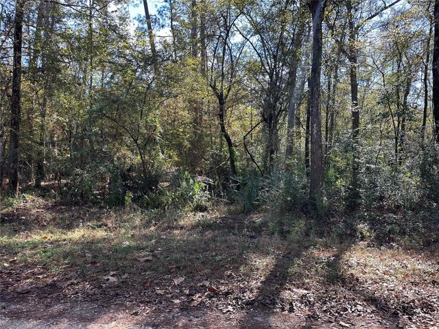 0 County Road 3612, Cleveland, TX 77372