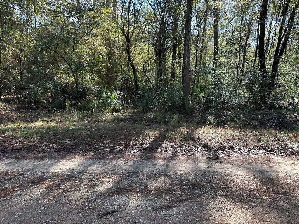 0 County Road 3612, Cleveland, TX 77372
