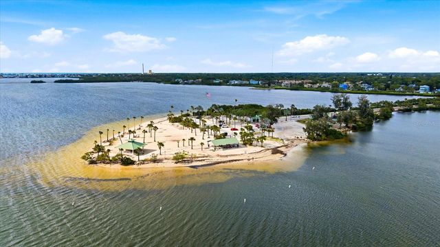 1038 WIDEVIEW AVENUE, Tarpon Springs, FL 34689
