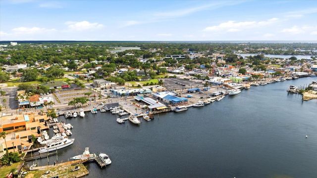 1038 WIDEVIEW AVENUE, Tarpon Springs, FL 34689