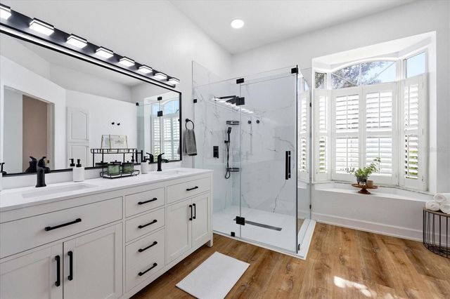 1038 WIDEVIEW AVENUE, Tarpon Springs, FL 34689