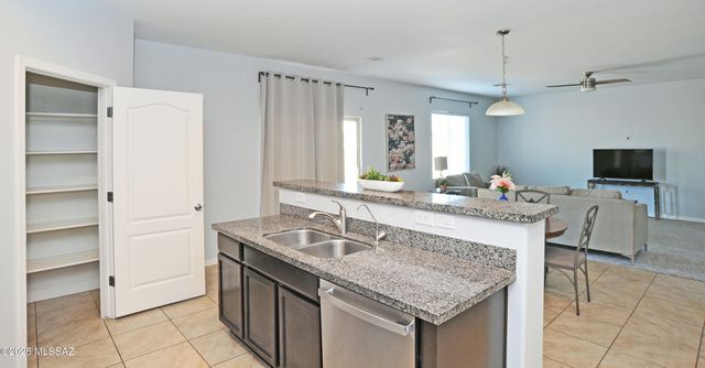 14197 N Stone Pendant Way, Marana, AZ 85658