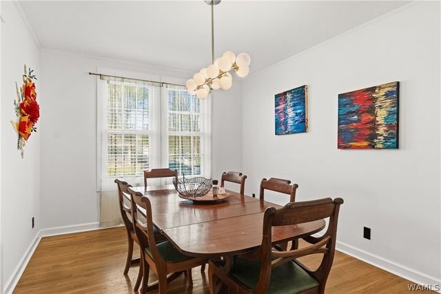 3517 9th, Tuscaloosa, AL 35401