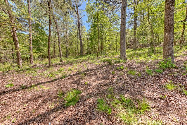 Lot 2 Eagle Cove Road, Eureka Springs, AR 72631