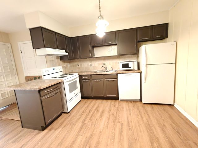 1296 E WASHINGTON Street 1, Des Plaines, IL 60016