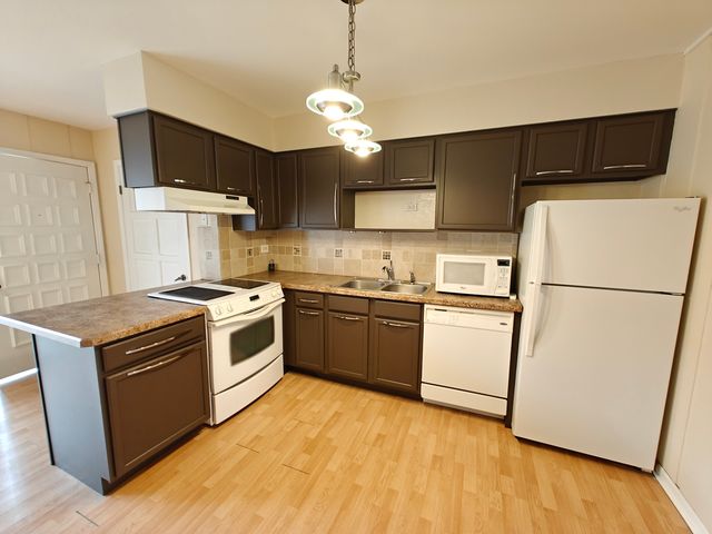 1296 E WASHINGTON Street 1, Des Plaines, IL 60016