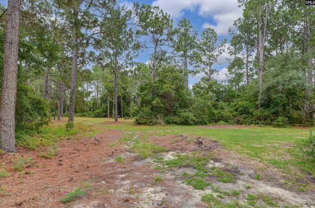 104 Hogans Run, Columbia, SC 29229