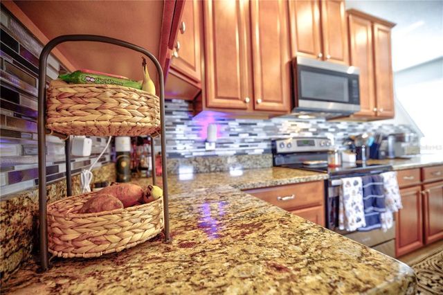 20028 SATIN LEAF AVENUE, Tampa, FL 33647