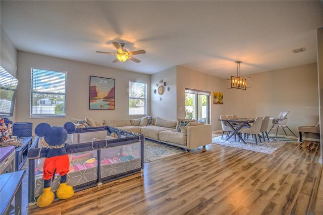 20028 SATIN LEAF AVENUE, Tampa, FL 33647