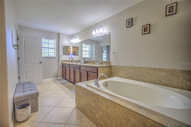 20028 SATIN LEAF AVENUE, Tampa, FL 33647