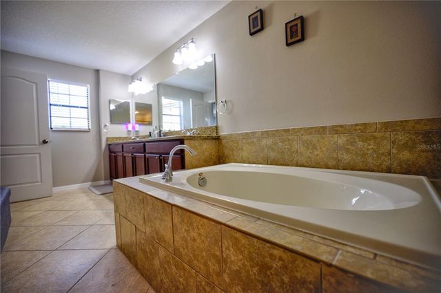 20028 SATIN LEAF AVENUE, Tampa, FL 33647