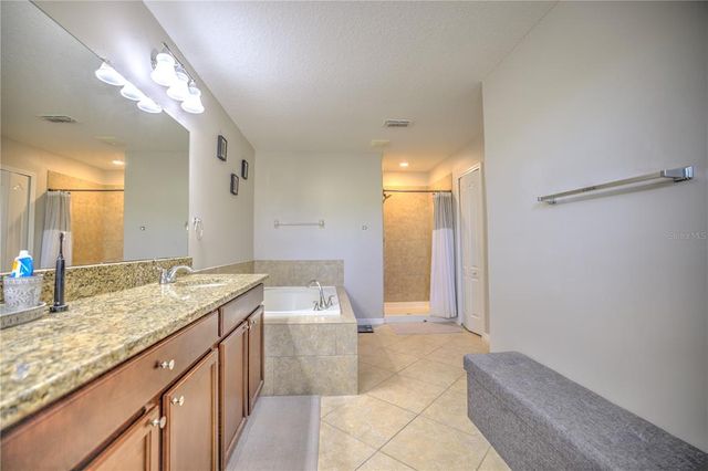 20028 SATIN LEAF AVENUE, Tampa, FL 33647