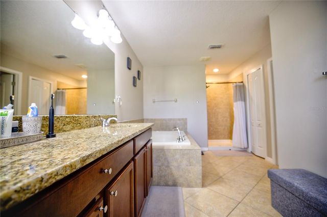 20028 SATIN LEAF AVENUE, Tampa, FL 33647