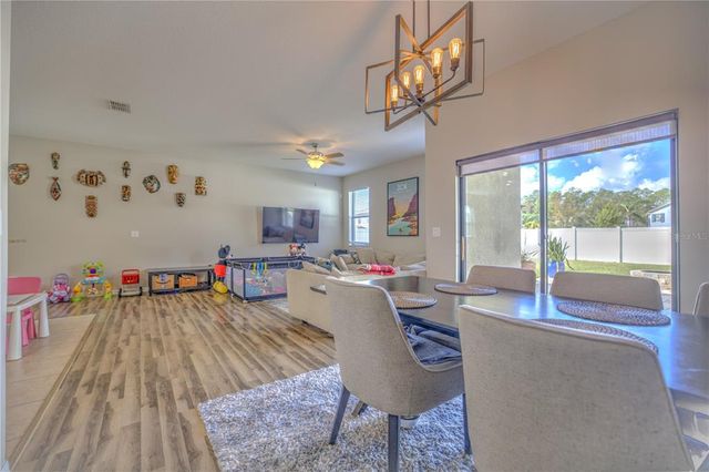 20028 SATIN LEAF AVENUE, Tampa, FL 33647
