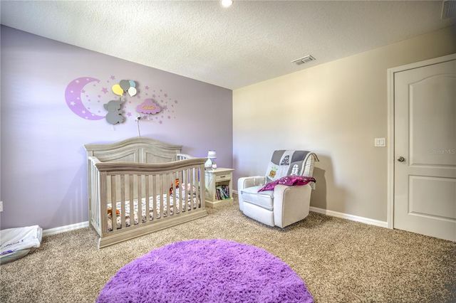 20028 SATIN LEAF AVENUE, Tampa, FL 33647