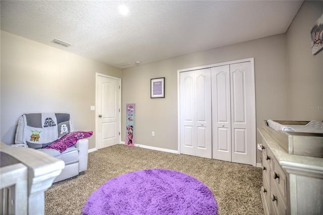 20028 SATIN LEAF AVENUE, Tampa, FL 33647