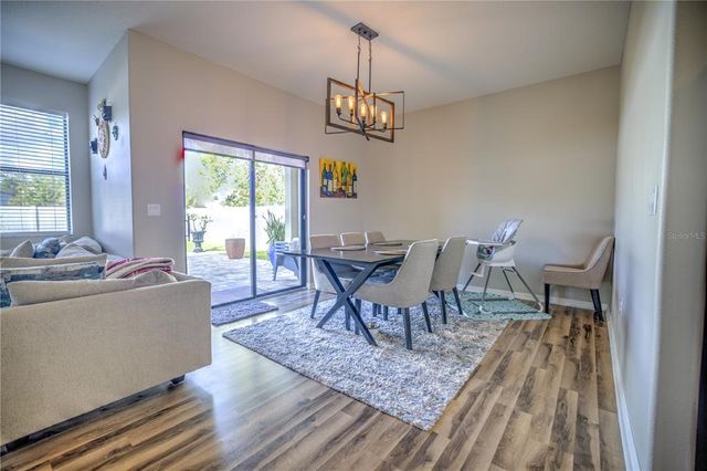 20028 SATIN LEAF AVENUE, Tampa, FL 33647