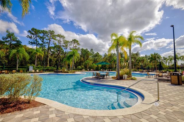 20028 SATIN LEAF AVENUE, Tampa, FL 33647