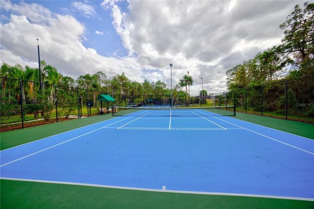 20028 SATIN LEAF AVENUE, Tampa, FL 33647