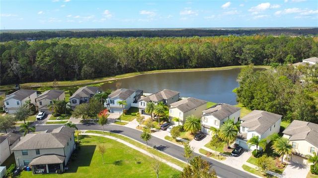 20028 SATIN LEAF AVENUE, Tampa, FL 33647