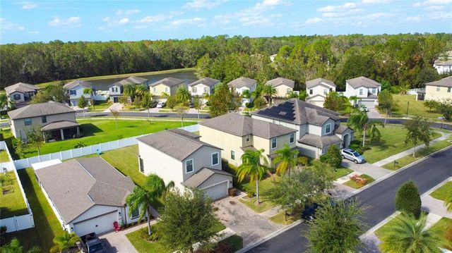 20028 SATIN LEAF AVENUE, Tampa, FL 33647