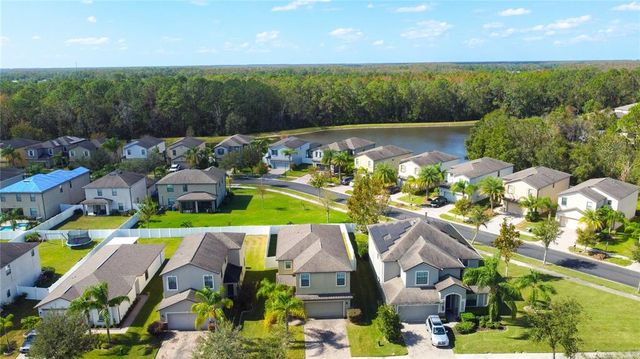 20028 SATIN LEAF AVENUE, Tampa, FL 33647