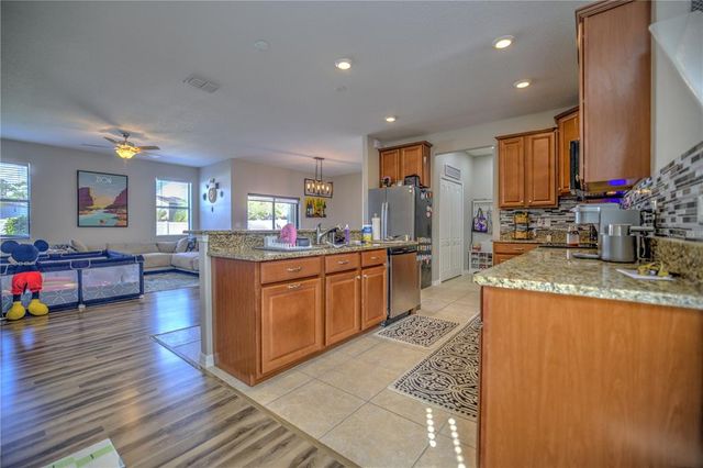 20028 SATIN LEAF AVENUE, Tampa, FL 33647