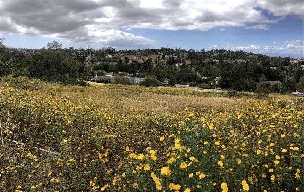 2234 Tierra Verde Road, Vista, CA 92084 — exterior