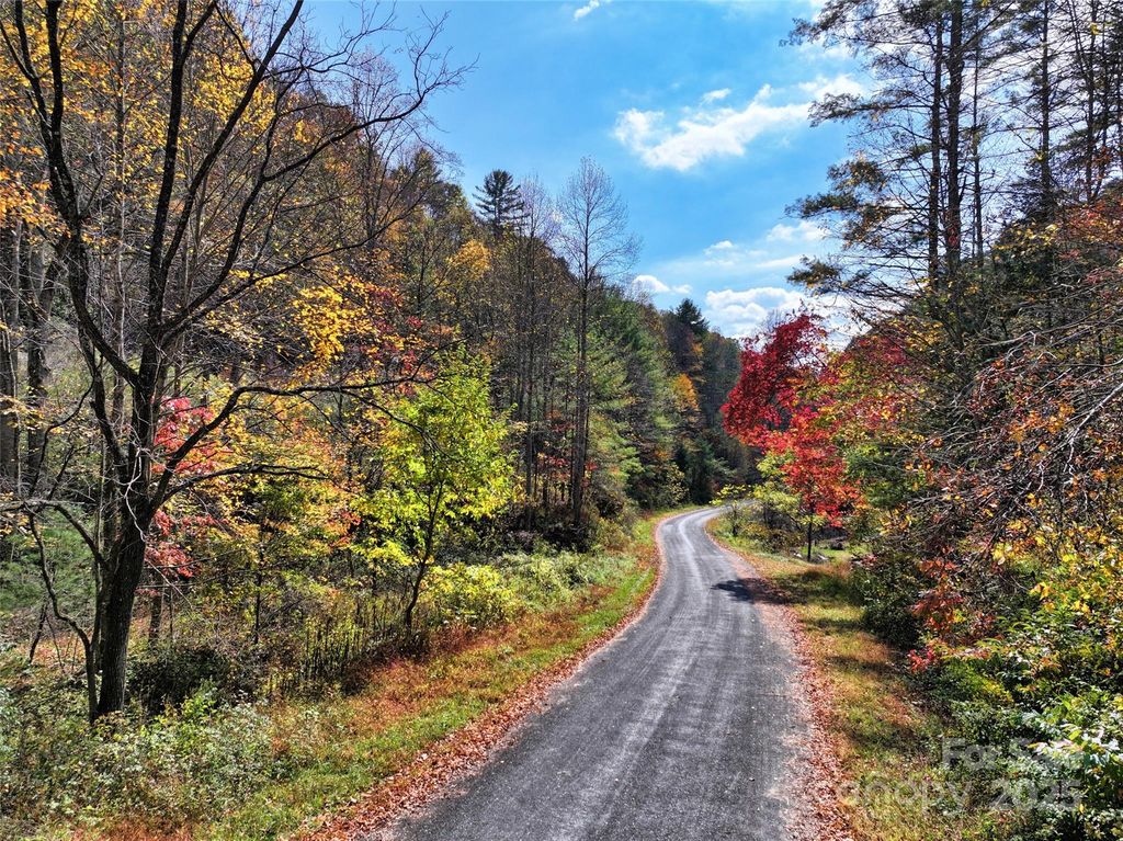 366 Renfro Road, Green Mountain, NC 28740