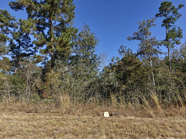 357 Iron Horse Road, New Waverly, TX 77358