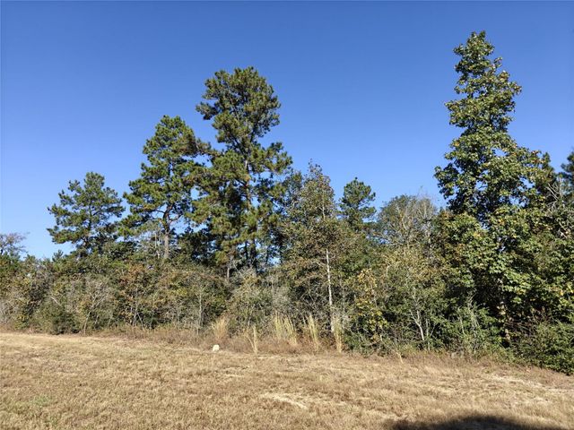 357 Iron Horse Road, New Waverly, TX 77358