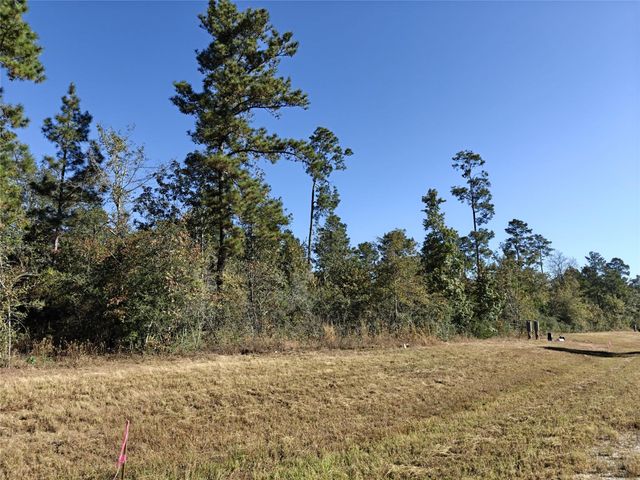 357 Iron Horse Road, New Waverly, TX 77358