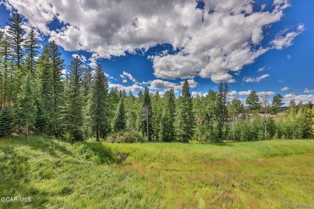 41 Longs Peak Drive, Fraser, CO 80442