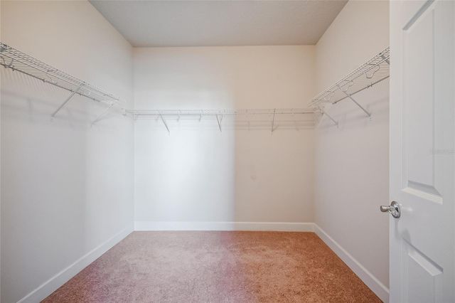 12077 ULETA LANE, Orlando, FL 32827