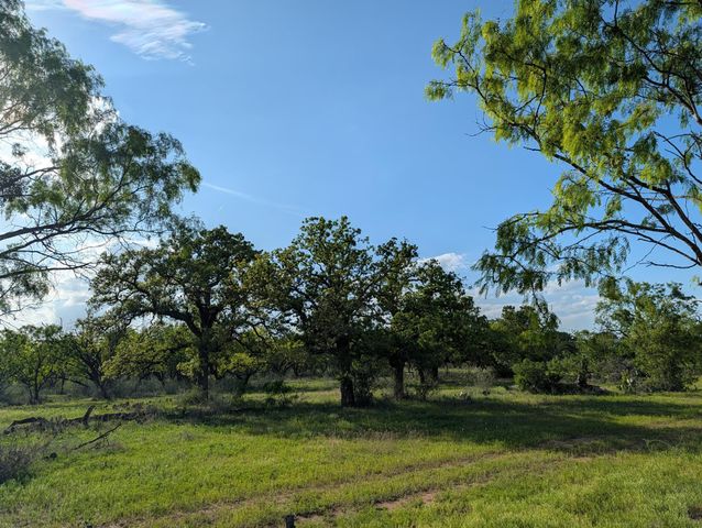 TBD FM 1980, Marble Falls, TX 78654