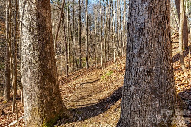 348 Big Raven Lane, Saluda, NC 28773