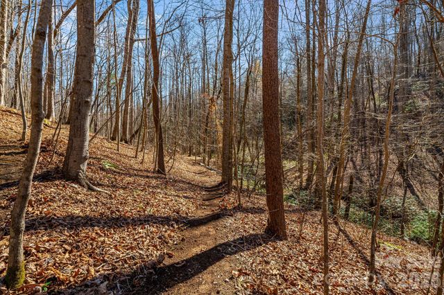 348 Big Raven Lane, Saluda, NC 28773