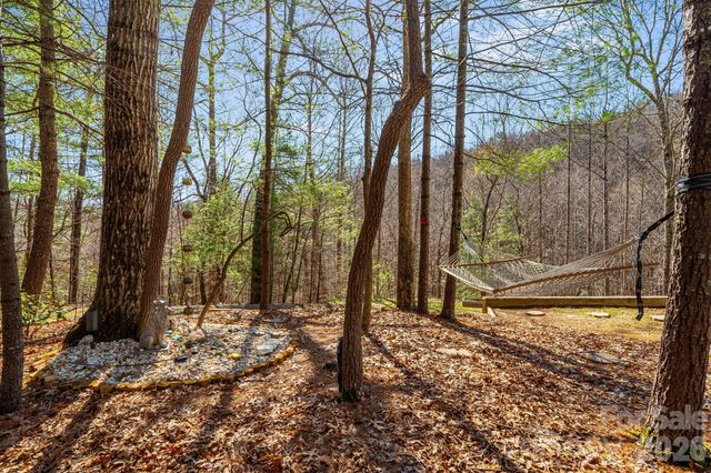 348 Big Raven Lane, Saluda, NC 28773