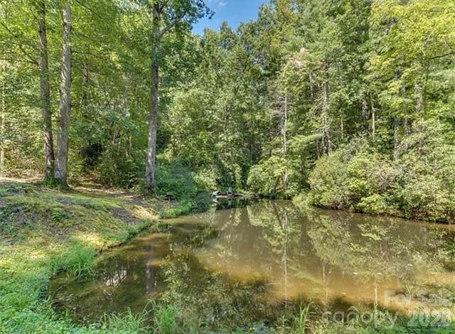 348 Big Raven Lane, Saluda, NC 28773