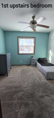 730 Koala Court, Wilmington, IL 60481